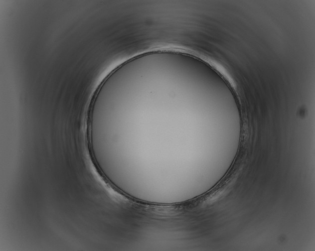 X0000091701007200708240929