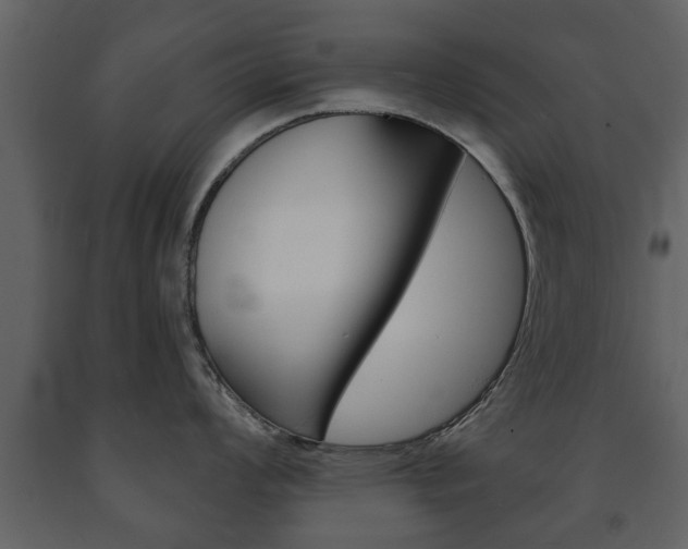 X0000091701008200708240929