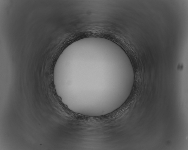 X0000091701009200708240928