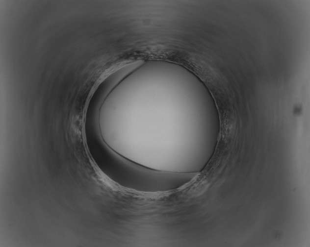 X0000091701010200708240928