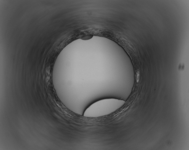 X0000091701011200708240928