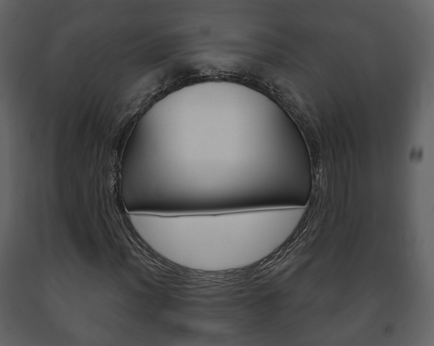 X0000091701012200708240928