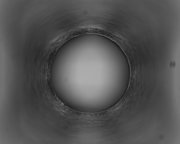 X0000091701014200708240928