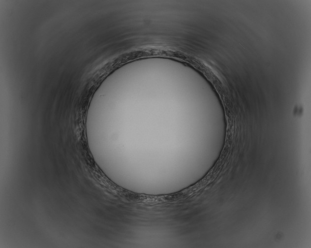 X0000091701015200708240928