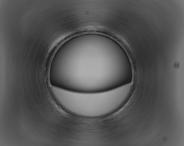 X0000091701018200708240928