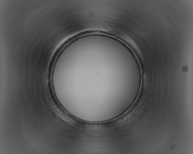 X0000091701020200708240928