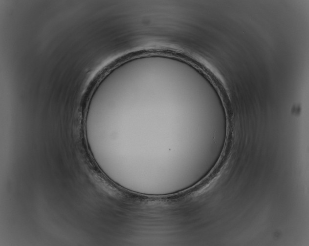 X0000091701021200708240928