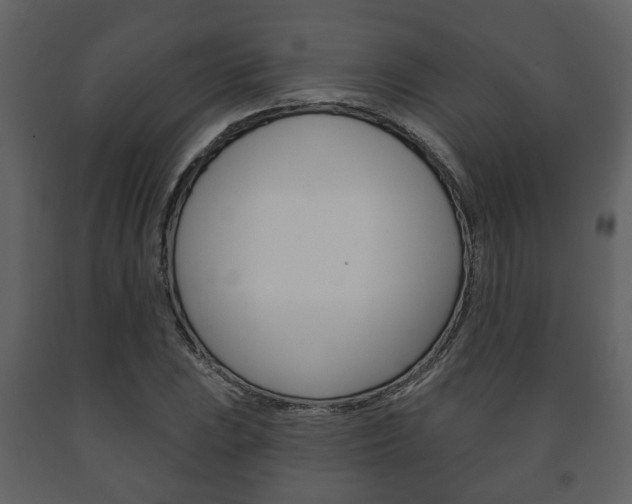X0000091701023200708240928