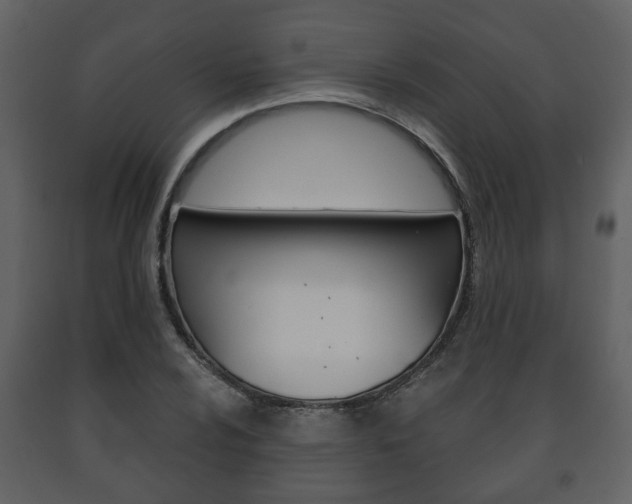 X0000091701024200708240928