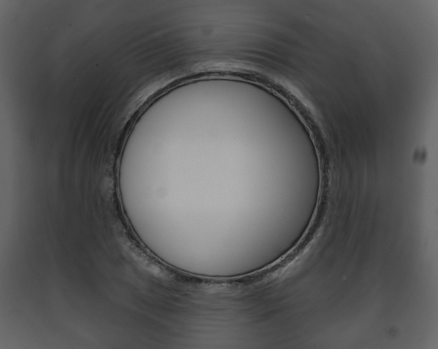 X0000091701025200708240928