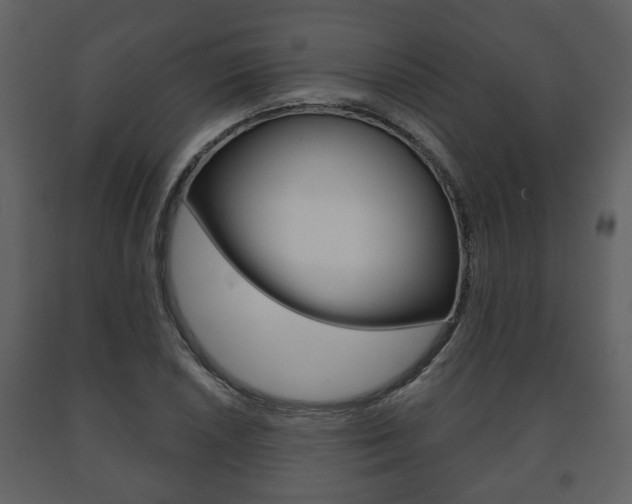 X0000091701026200708240928
