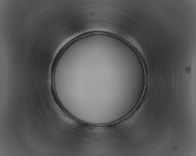 X0000091701028200708240928