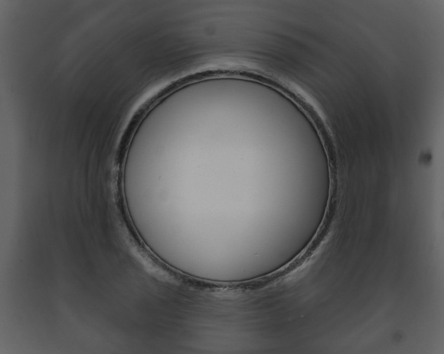 X0000091701029200708240928