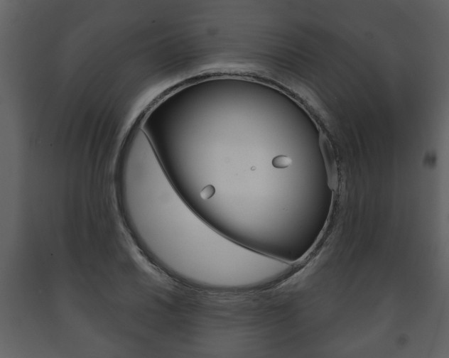 X0000091701030200708240928
