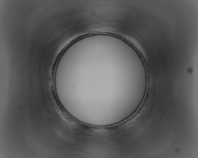 X0000091701031200708240928