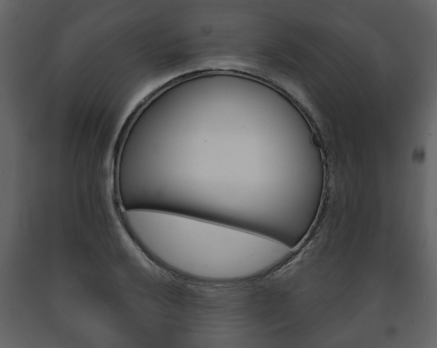X0000091701032200708240928