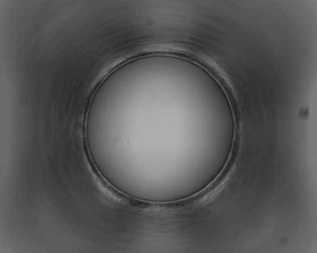 X0000091701033200708240928
