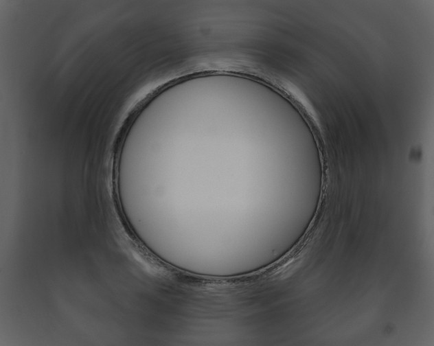 X0000091701035200708240928