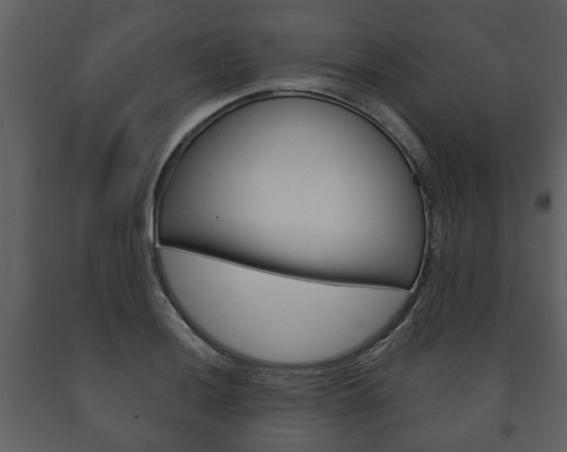 X0000091701036200708240929