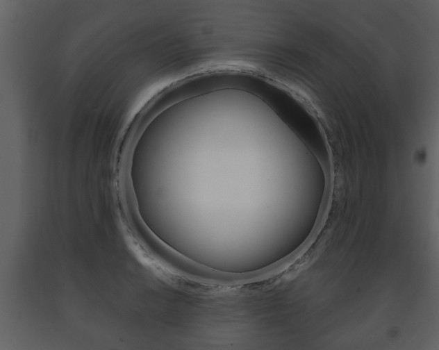 X0000091701038200708240929