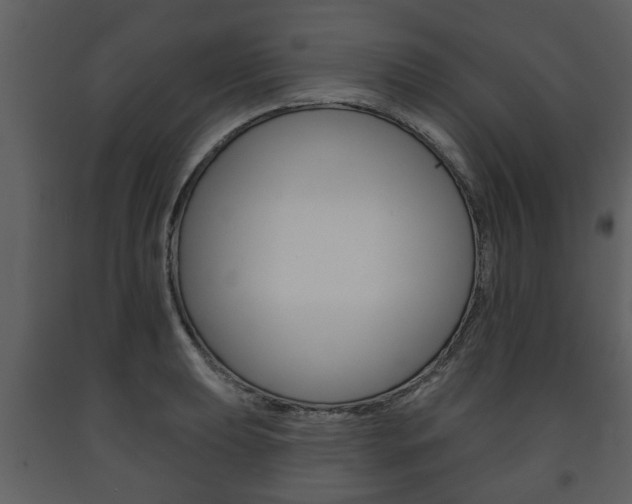 X0000091701039200708240929
