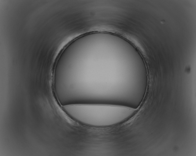 X0000091701040200708240929