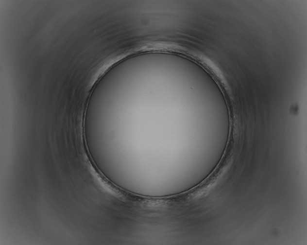 X0000091701041200708240929