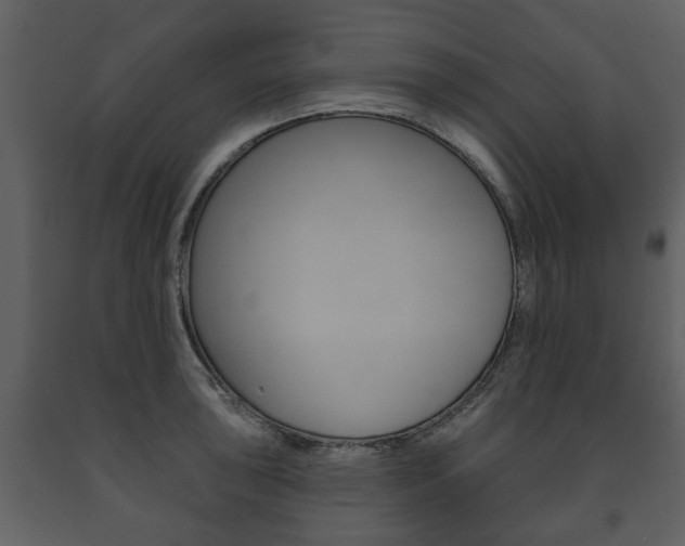 X0000091701043200708240929