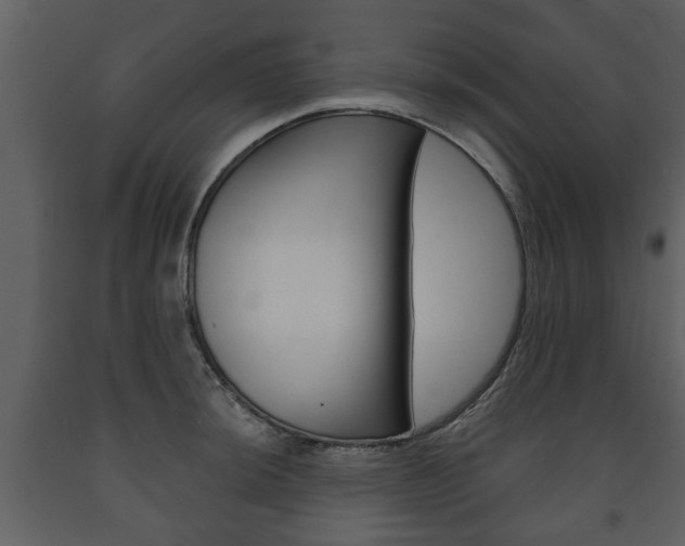 X0000091701044200708240929