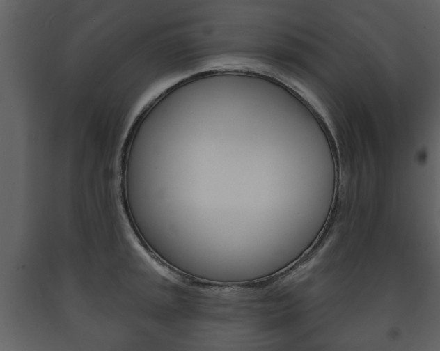 X0000091701045200708240929