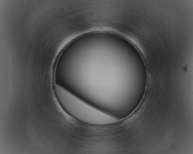 X0000091701046200708240929