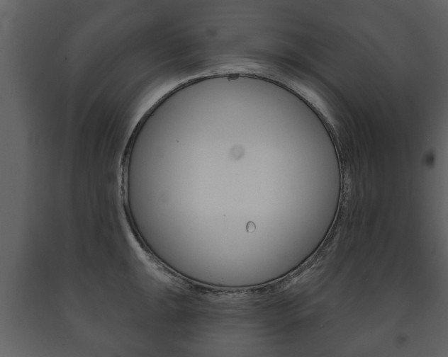 X0000091701047200708240929