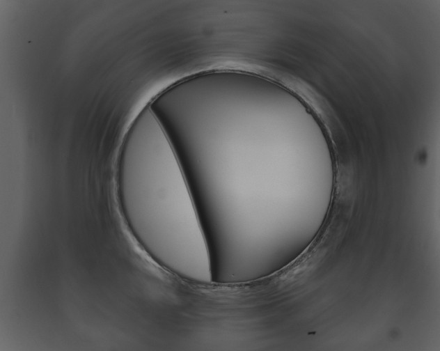 X0000091701048200708240929