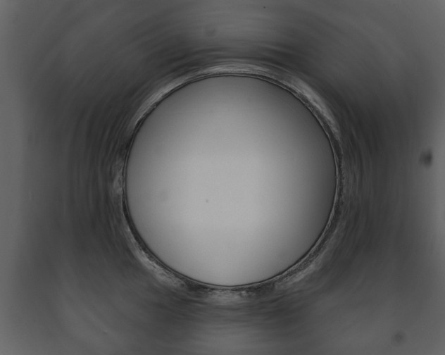 X0000091701049200708240929