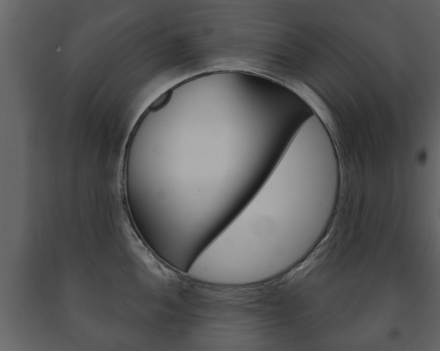 X0000091701052200708240929