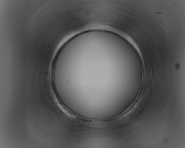 X0000091701053200708240929