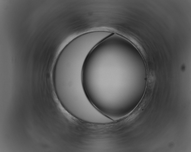 X0000091701054200708240929