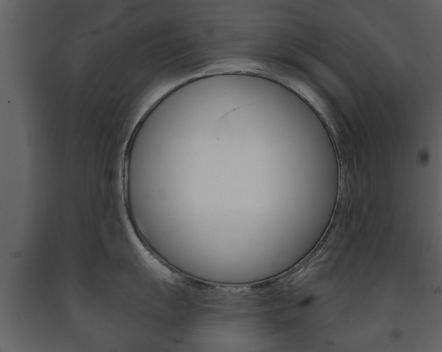 X0000091701055200708240929