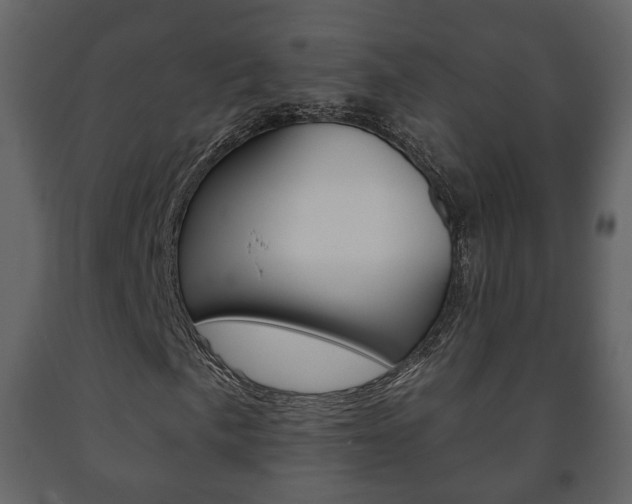 X0000091701057200708240928