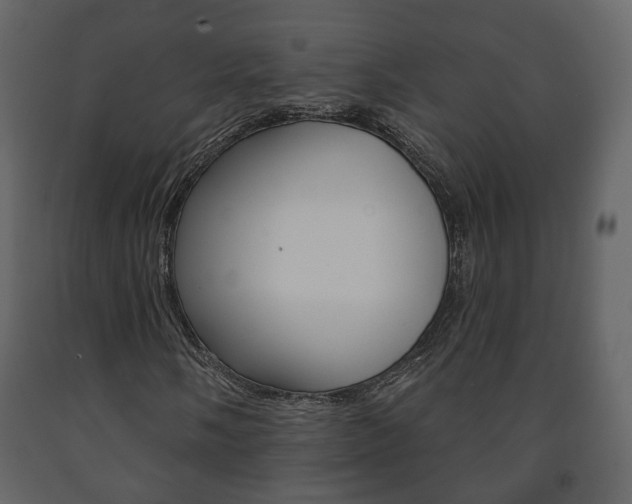X0000091701058200708240928