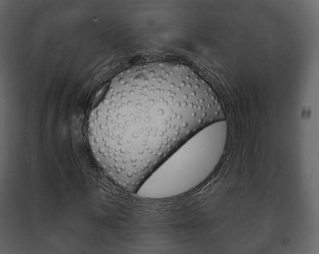 X0000091701059200708240928