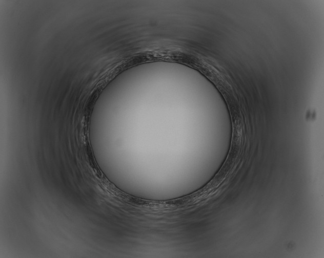 X0000091701060200708240928