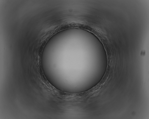 X0000091701061200708240928