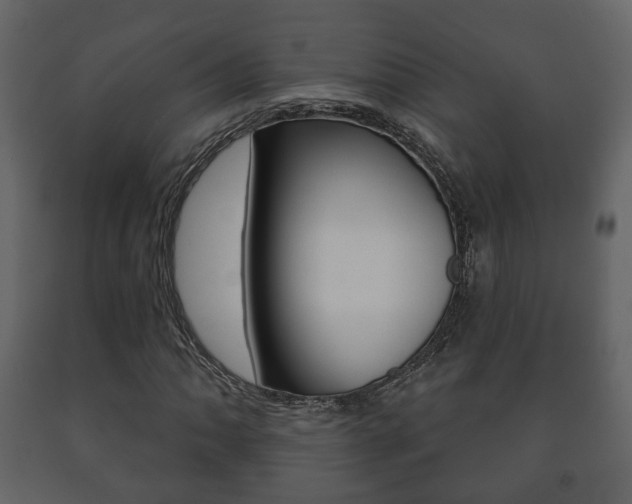 X0000091701062200708240928