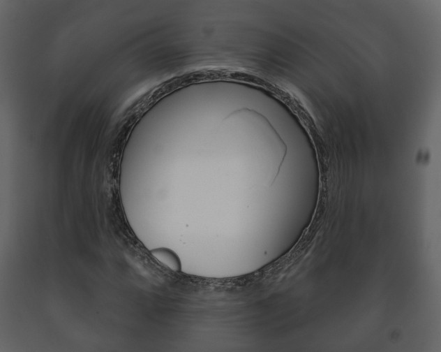 X0000091701064200708240928