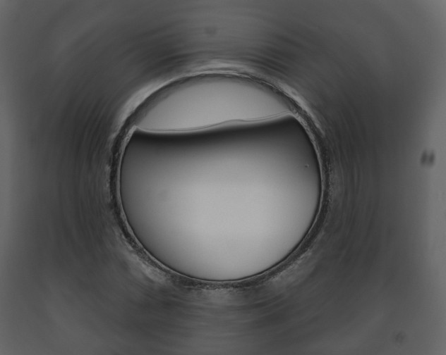X0000091701066200708240928