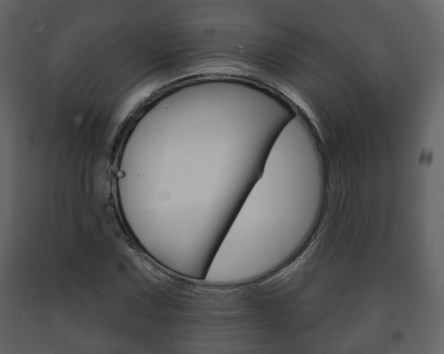 X0000091701067200708240928