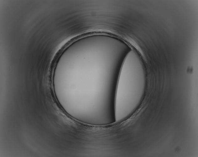 X0000091701068200708240928