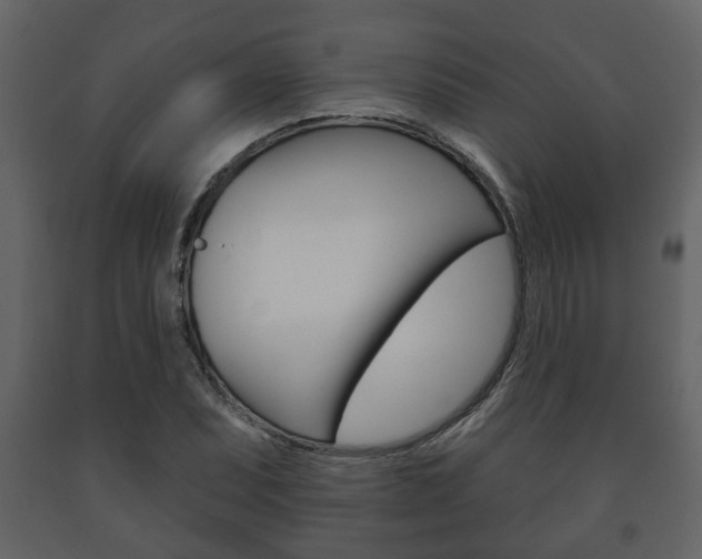 X0000091701071200708240928