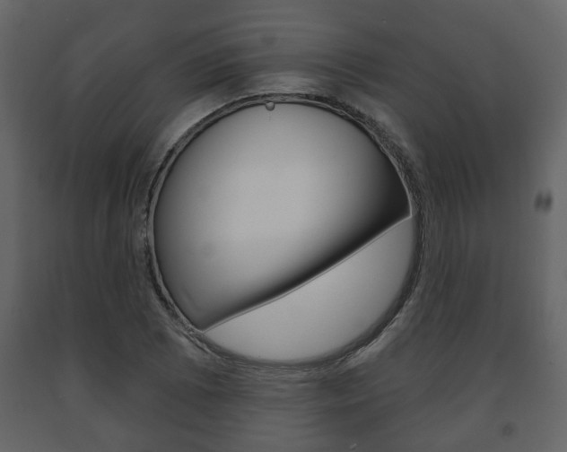 X0000091701073200708240928